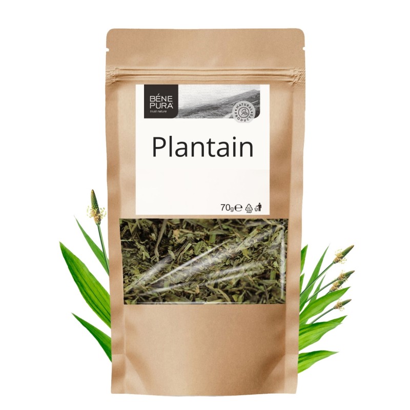 Plantain - 70g - Herbs for the stomach