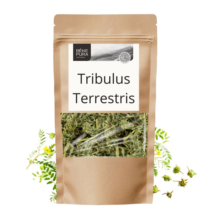 Tribulus Terrestris - 70g - Herbs for cholesterol