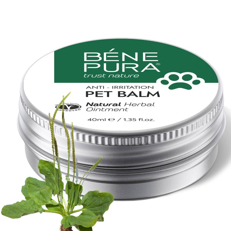 Anti irritation Pet balm with Plantain - 40ml - Herbal ointments