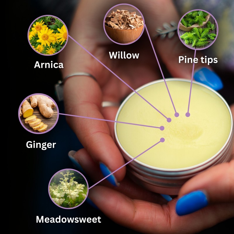 2x Ointment for Bruising with Arnica and Ginger - 40ml