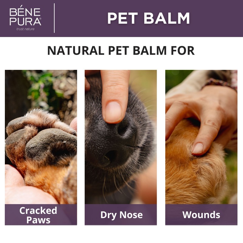 2x Regenerating Dog Paw balm with Calendula - 40ml