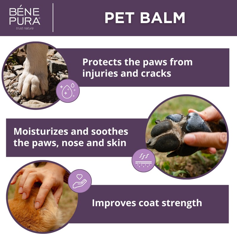 2x Regenerating Dog Paw balm with Calendula - 40ml