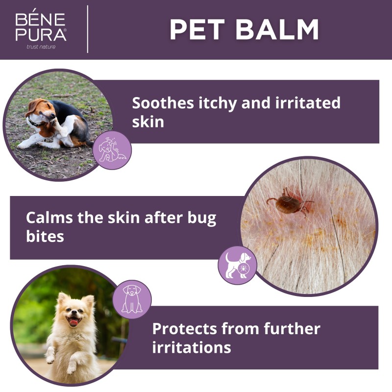 Anti irritation Pet balm with Plantain - 40ml