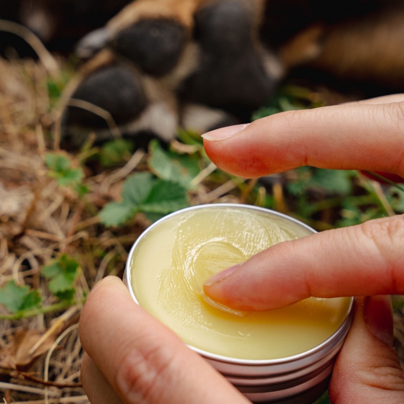 Regenerating Dog Paw balm with Calendula - 40ml