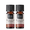 2x Bio Eucalyptus Citriodora Essential oil - 5ml