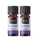 2x Bio Lavender Essential oil - 10ml