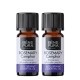 2x Bio Rosemary Camphor Essential oil - 5ml