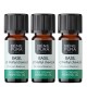 3x Bio Basil Essential oil - 5ml