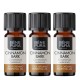3x Bio Cinnamon Essential oil - 10ml