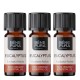 3x Bio Eucalyptus Radiata Essential oil - 5ml