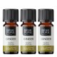 3x Bio Ginger Essential oil - 5ml