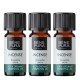 3x Bio Incense Essential oil - 10ml