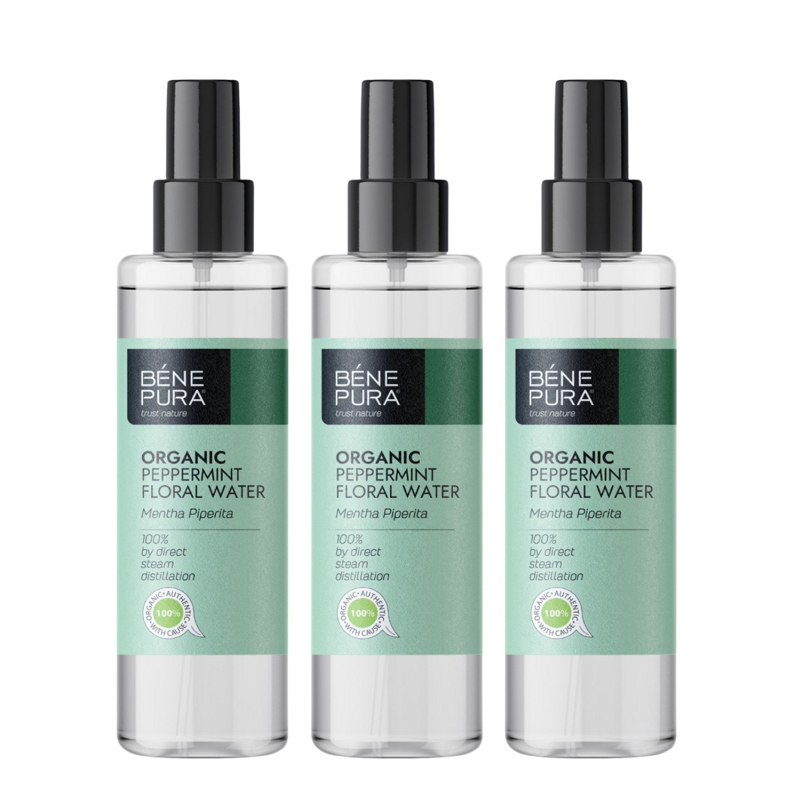 ᐉ 3x Bio Mint Floral water - 250ml - Benepura.com