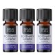 3x Bio Rosemary Camphor Essential oil - 5ml