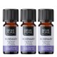 3x Bio Rosemary Cineole Essential oil - 10ml