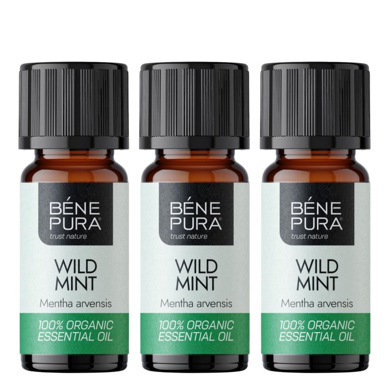 3x Bio Wild Mint Essential oil - 5ml - Product Comparison