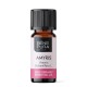 Bio Amyris Essential oil - 5ml