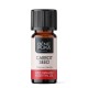 Bio Carrot Seed Essential oil - 10ml