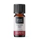 Bio Clove Essential oil - 10ml