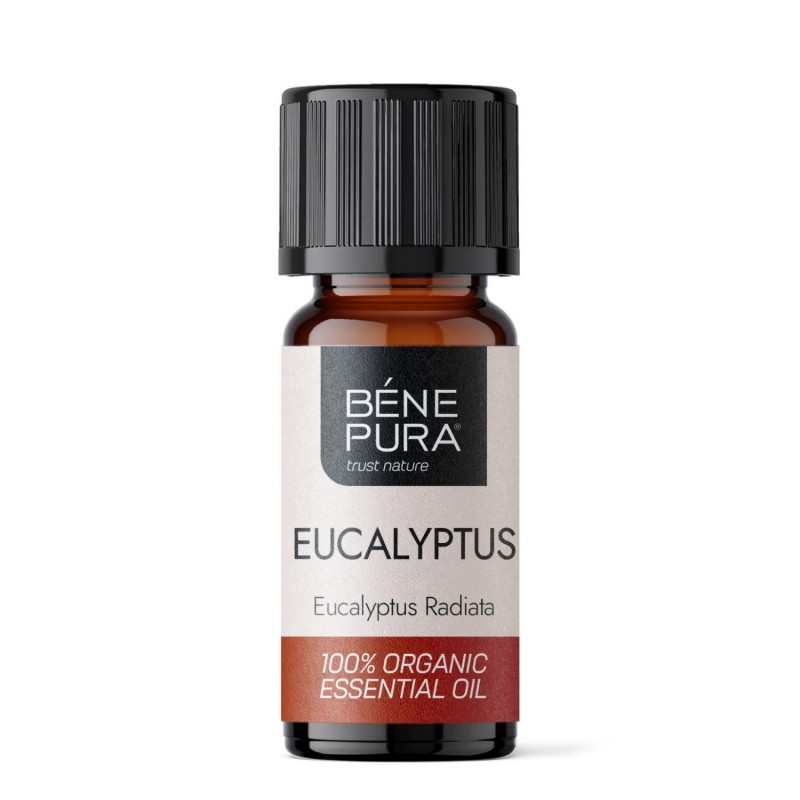 Bio Eucalyptus Radiata Essential oil - 5ml - Benepura.com Bio Eucalyptus Radiata Essential oil - 5ml