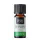 Bio Geranium Essential oil - 10ml