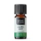 Bio Laurel Leaf Essential oil - 5ml