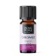 Bio Oregano Essential oil - 10ml