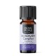 Bio Rosemary Camphor Essential oil - 5ml