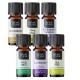 „Hair and Scalp Set from Bio Essential oils