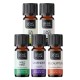 „Healthy in Winter" Set from Bio Essential oils