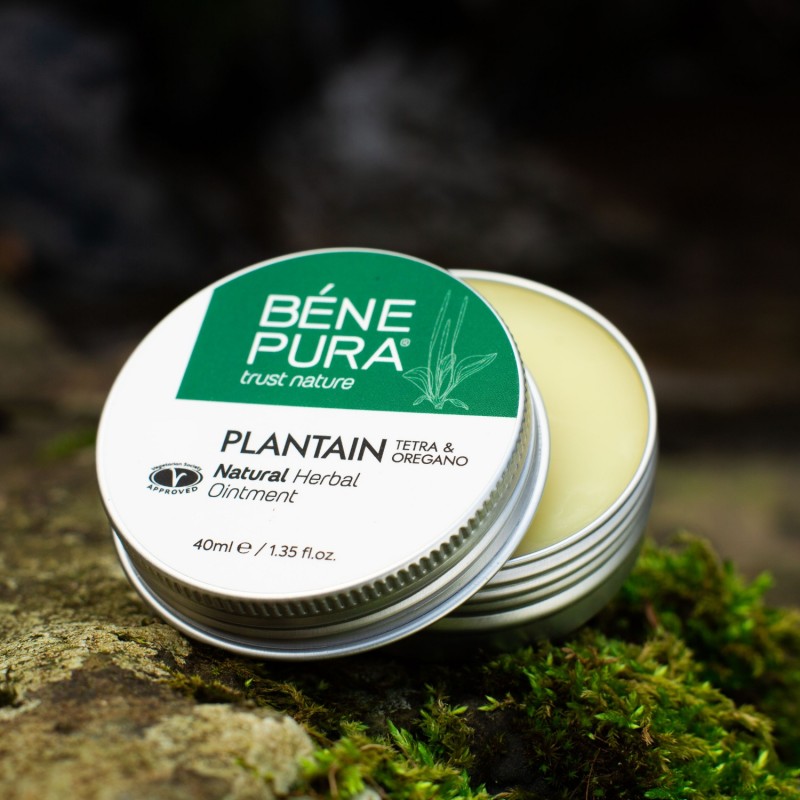 Ointment for Itching and Rashes with Plantain - 40ml - Benepura.com Ointment for Itching and Rashes with Plantain - 40ml