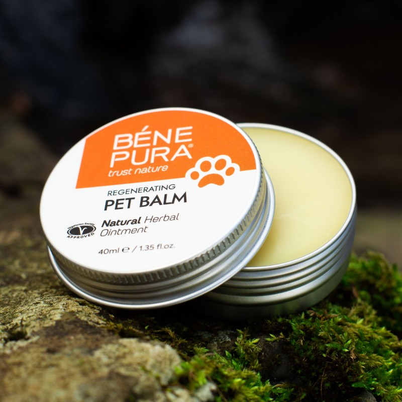 Regenerating Dog Paw balm with Calendula - 40ml - Herbal ointments