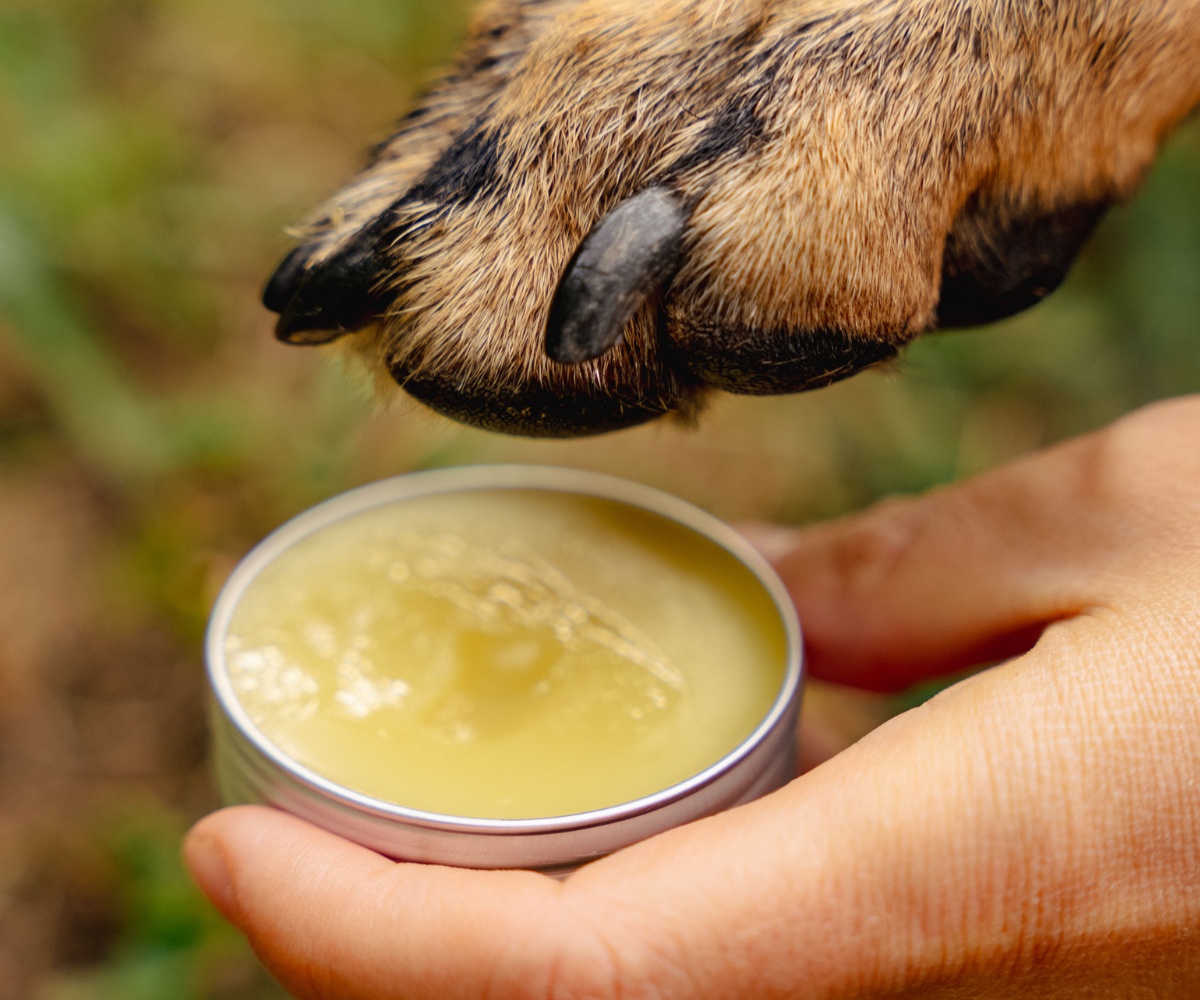 Anti irritation pet balm with plantain