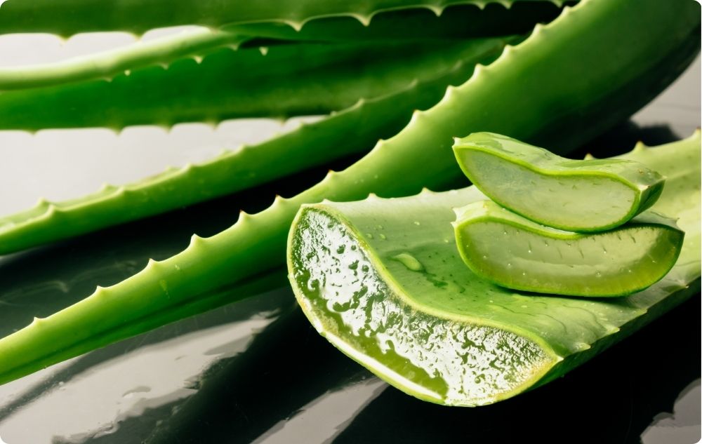 Gel from aloe vera