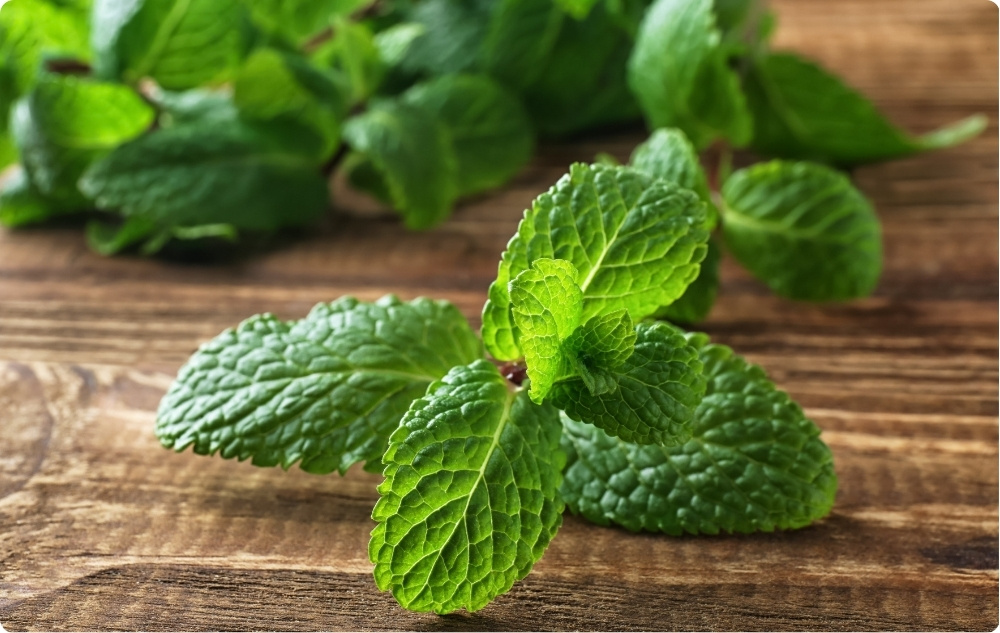 Mint