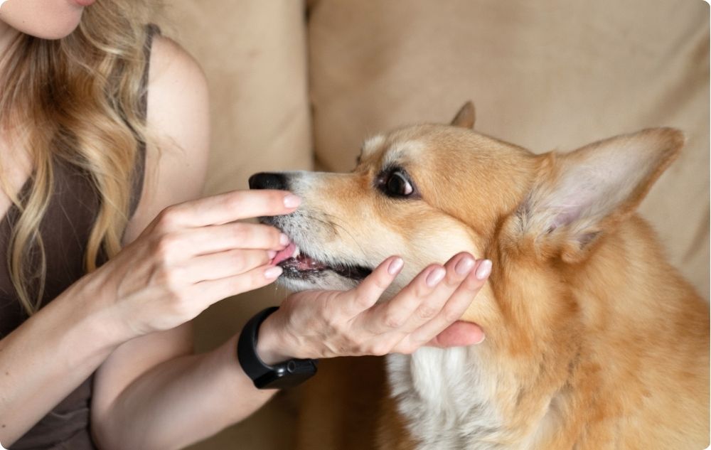 Improving oral hygiene